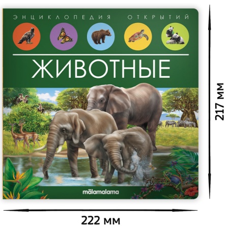 9785001347965_4